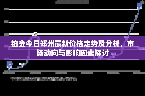 铂金今日郑州最新价格走势及分析，市场动向与影响因素探讨