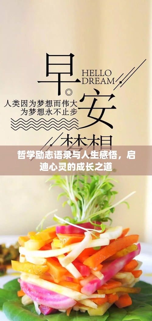 哲学励志语录与人生感悟，启迪心灵的成长之道