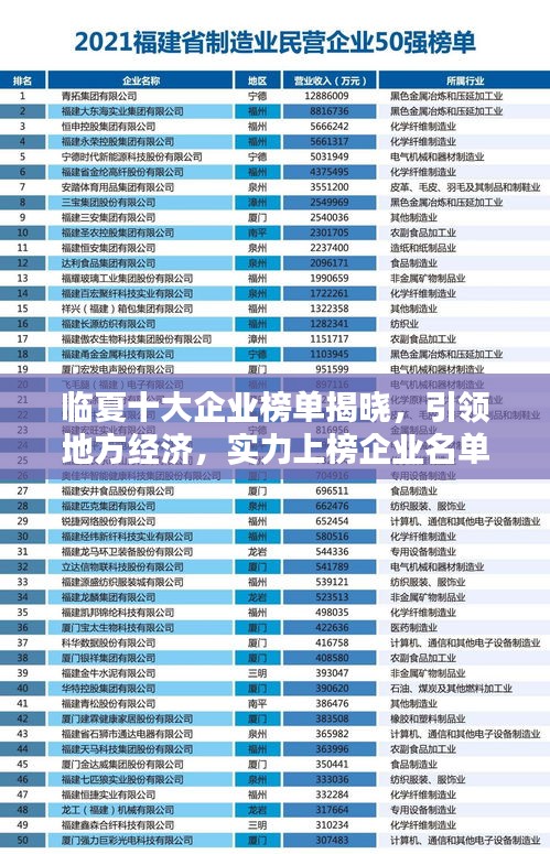 临夏十大企业榜单揭晓，引领地方经济，实力上榜企业名单全解析