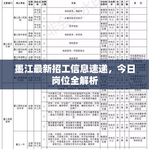 墨江最新招工信息速递，今日岗位全解析