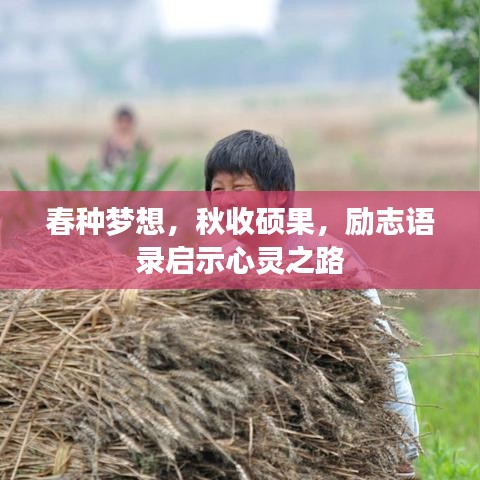 春种梦想，秋收硕果，励志语录启示心灵之路