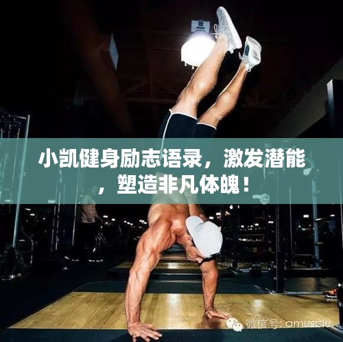 小凯健身励志语录，激发潜能，塑造非凡体魄！