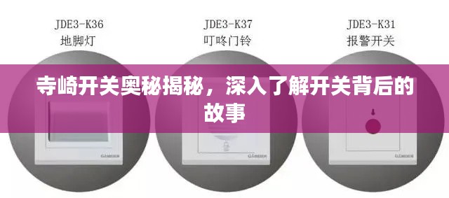 寺崎开关奥秘揭秘，深入了解开关背后的故事