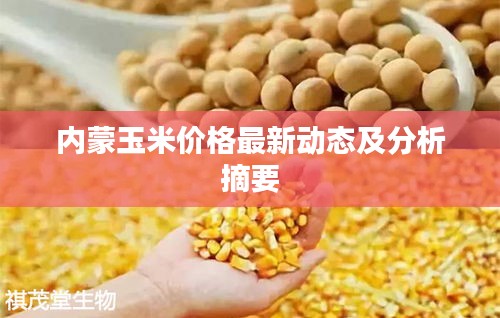 内蒙玉米价格最新动态及分析摘要