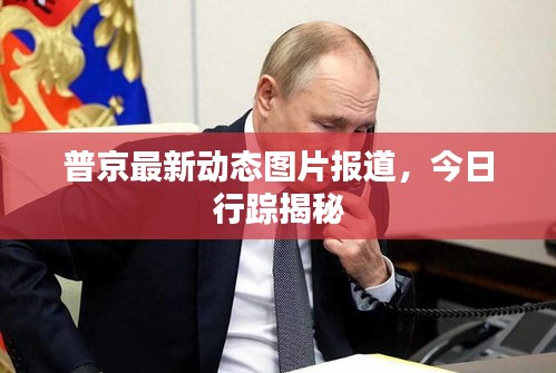 普京最新动态图片报道，今日行踪揭秘