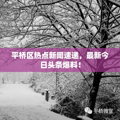平桥区热点新闻速递，最新今日头条爆料！