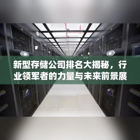 新型存储公司排名大揭秘，行业领军者的力量与未来前景展望