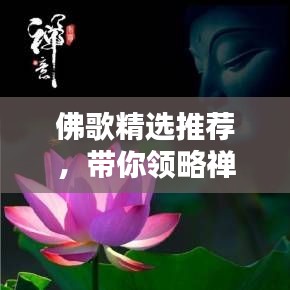 佛歌精选推荐，带你领略禅意之美