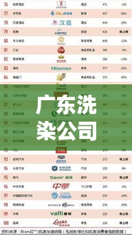 广东洗染公司排名揭晓，权威榜单，行业巨头一目了然！