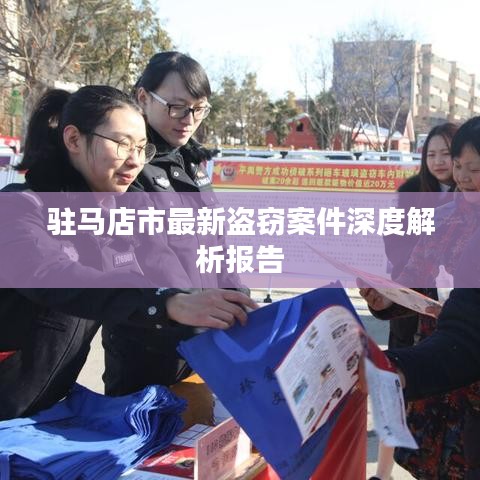 驻马店市最新盗窃案件深度解析报告