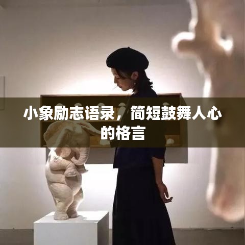 小象励志语录，简短鼓舞人心的格言