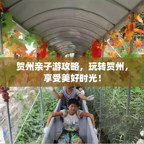 贺州亲子游攻略，玩转贺州，享受美好时光！