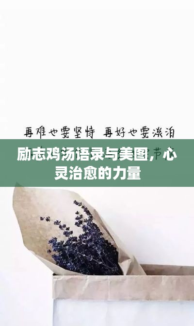 励志鸡汤语录与美图，心灵治愈的力量