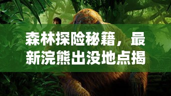 森林探险秘籍，最新浣熊出没地点揭秘