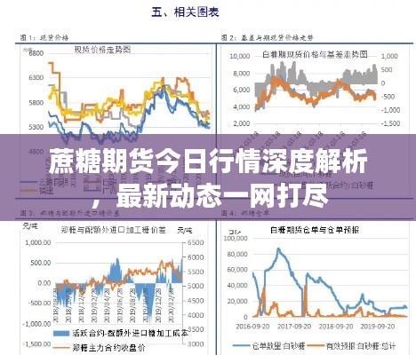 蔗糖期货今日行情深度解析，最新动态一网打尽