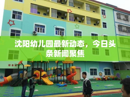 沈阳幼儿园最新动态，今日头条新闻聚焦