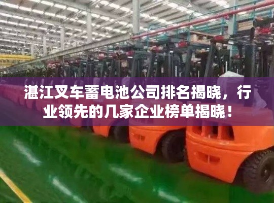 湛江叉车蓄电池公司排名揭晓，行业领先的几家企业榜单揭晓！