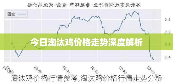 今日淘汰鸡价格走势深度解析