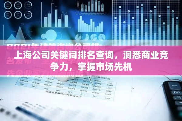 上海公司关键词排名查询，洞悉商业竞争力，掌握市场先机