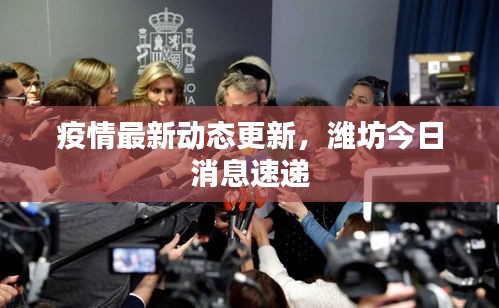 疫情最新动态更新，潍坊今日消息速递