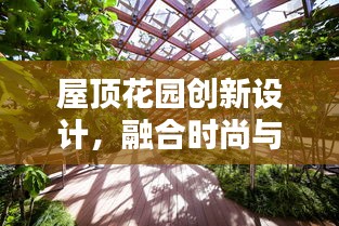 屋顶花园创新设计，融合时尚与生态，探索未来生活美学——最新款式揭秘