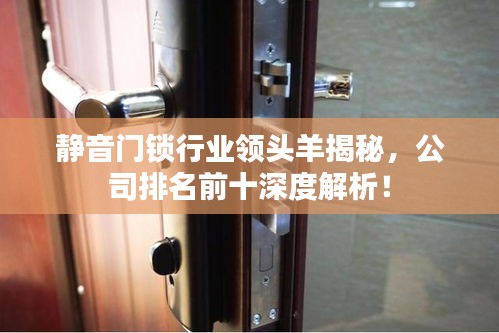 静音门锁行业领头羊揭秘，公司排名前十深度解析！