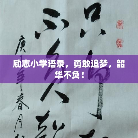 励志小学语录，勇敢追梦，韶华不负！