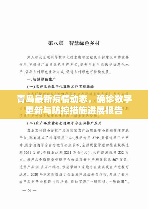 青岛最新疫情动态，确诊数字更新与防控措施进展报告