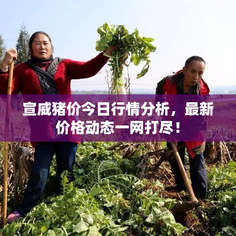 2025年5月31日