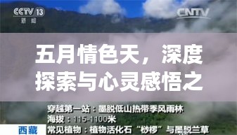 五月情色天，深度探索与心灵感悟之旅