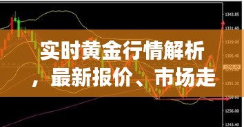 2025年6月3日