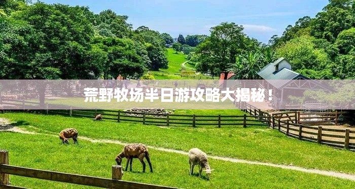 荒野牧场半日游攻略大揭秘！