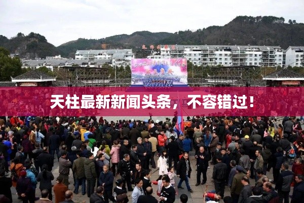 2025年6月5日 第2页