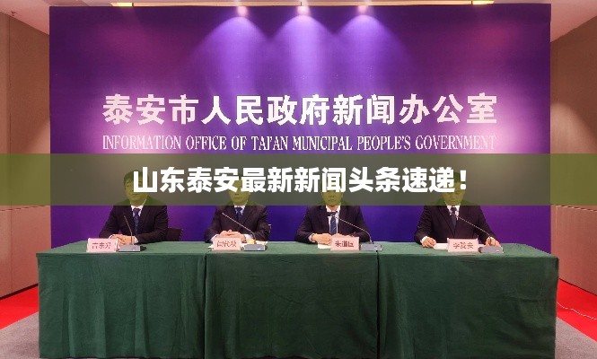 山东泰安最新新闻头条速递！