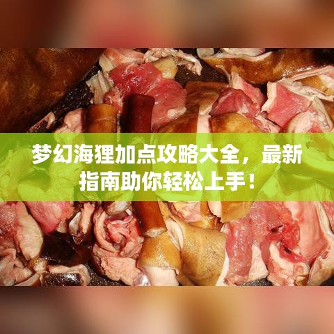 梦幻海狸加点攻略大全，最新指南助你轻松上手！