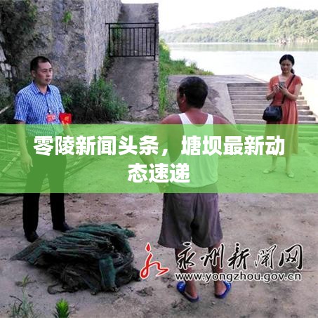 零陵新闻头条，塘坝最新动态速递