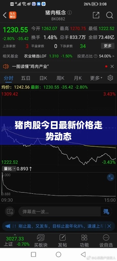猪肉股今日最新价格走势动态