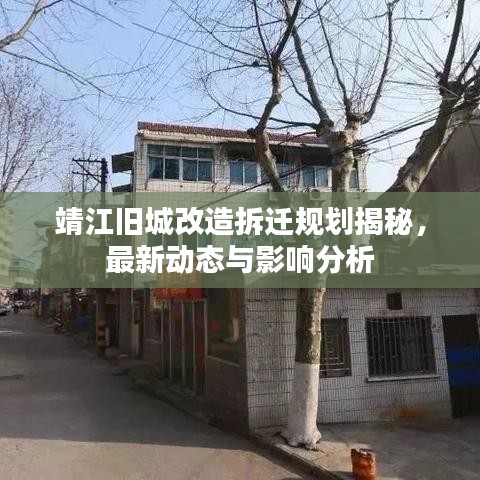 百年不遇