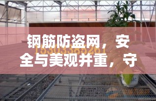 钢筋防盗网，安全与美观并重，守护家园的双重防护设计