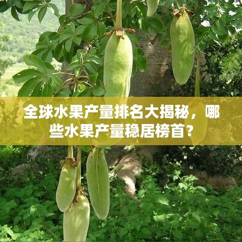 全球水果产量排名大揭秘，哪些水果产量稳居榜首？