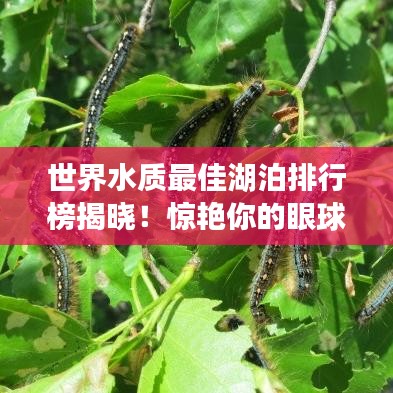 世界水质最佳湖泊排行榜揭晓！惊艳你的眼球！
