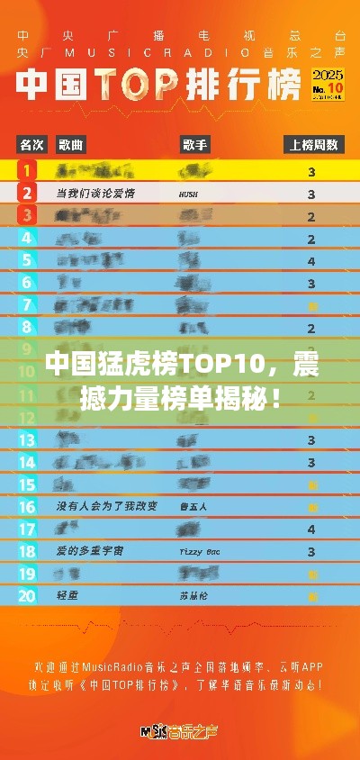 中国猛虎榜TOP10，震撼力量榜单揭秘！