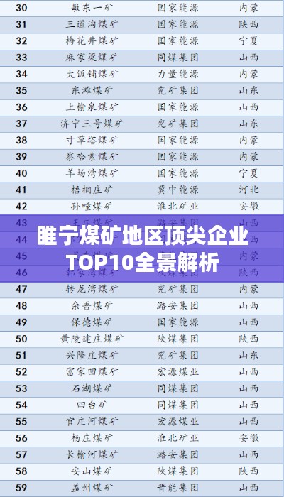 睢宁煤矿地区顶尖企业TOP10全景解析