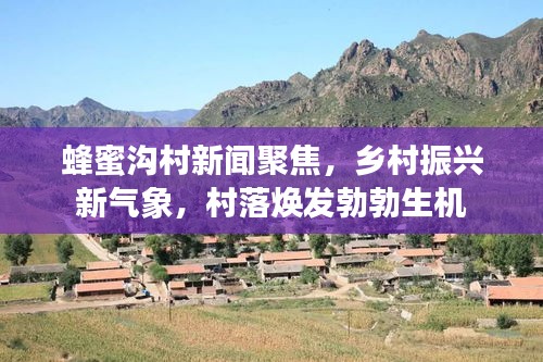 蜂蜜沟村新闻聚焦，乡村振兴新气象，村落焕发勃勃生机