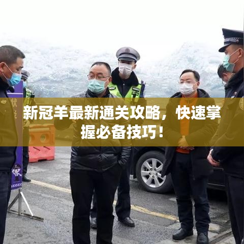 新冠羊最新通关攻略，快速掌握必备技巧！