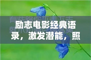 励志电影经典语录，激发潜能，照亮人生之路