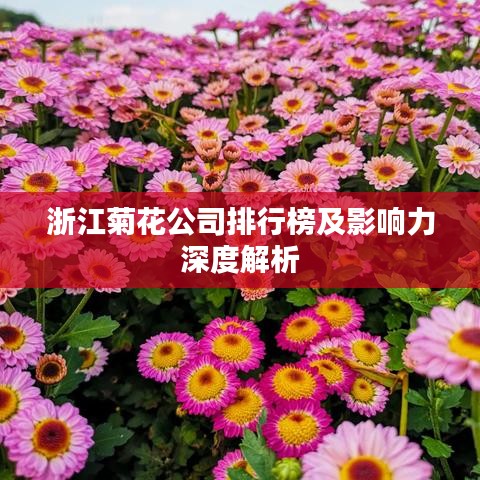 浙江菊花公司排行榜及影响力深度解析