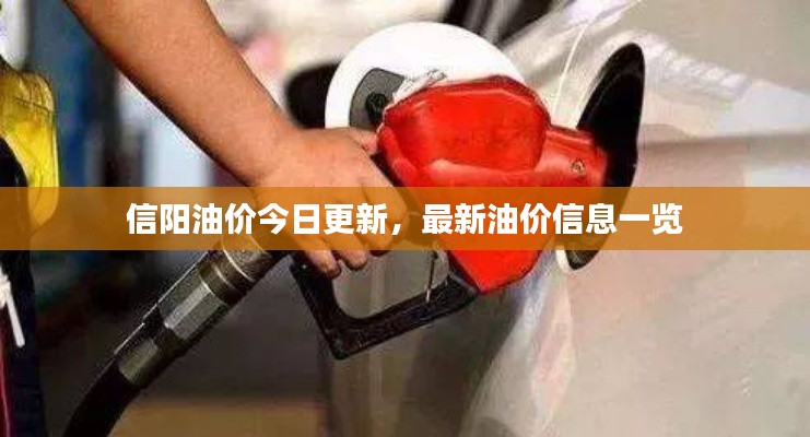 信阳油价今日更新，最新油价信息一览