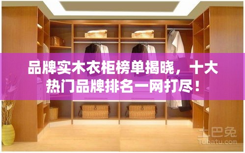 品牌实木衣柜榜单揭晓，十大热门品牌排名一网打尽！