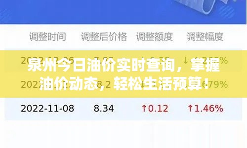 泉州今日油价实时查询，掌握油价动态，轻松生活预算！